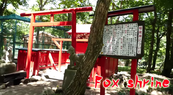 蔵王キツネ村 海外の反応