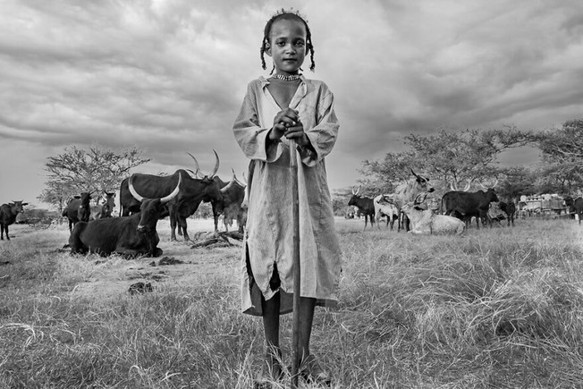 aap_travels_winners_2021_11-614cf39b71c60__880