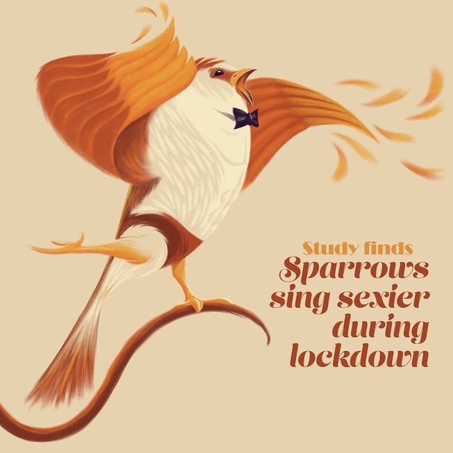 good-news-that-cannot-be-photographed-Heres-30-of-them