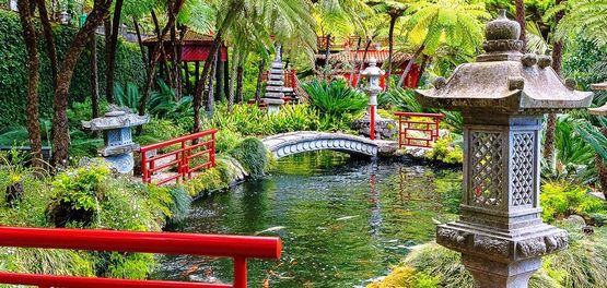 monte-palace-tripical-garden-in