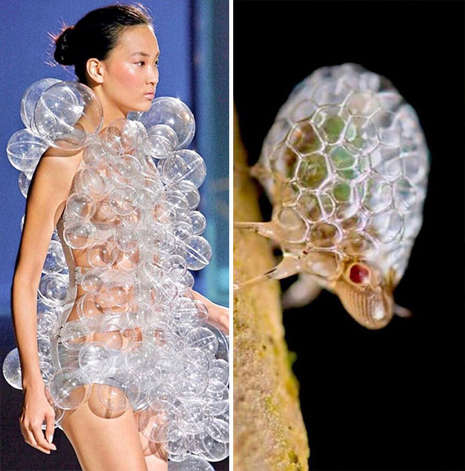 afaf-60508437bd08e__700