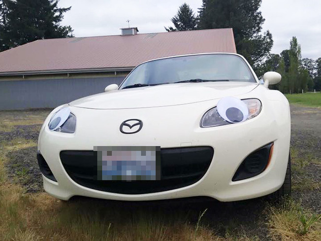 D-621eab0175513-jpeg