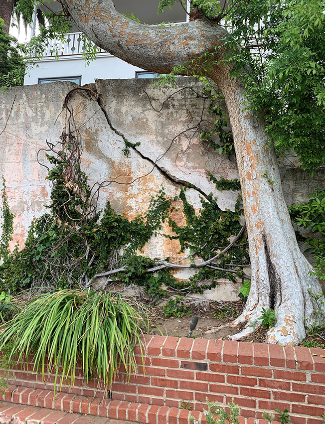 dangerous-structure-fails-69-624abf3500c74__700