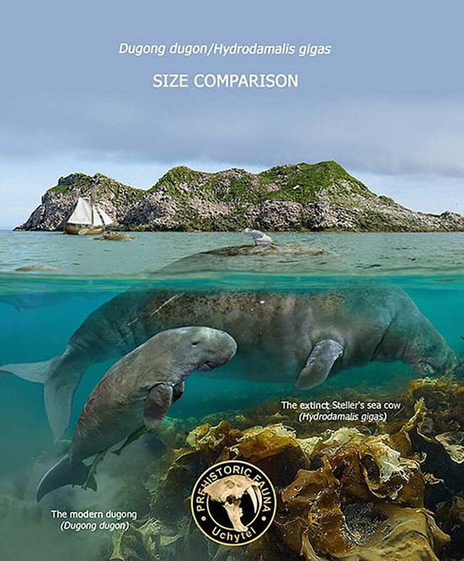 size-of-long-extinct-animals-with-their-modern-relatives