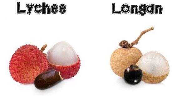 lychee_rambutan_longan