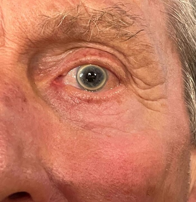 68a436bfd3143_fascinating-images-of-the-human-body__700