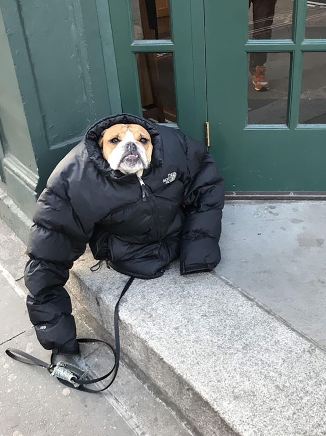 l