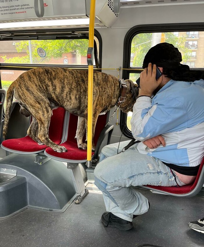 62fb7f159596f_infuriating-public-transportation-passengers