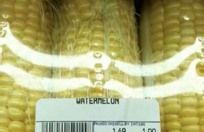 4885292554924616-png__700 (1)
