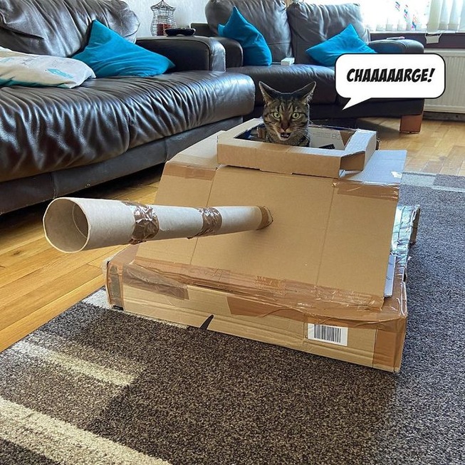 cat-tank-5eaa73caa5e77__700