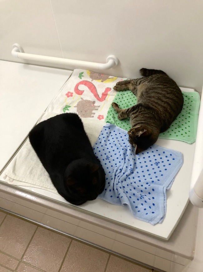 134391052_10161247302881840_4503963106651547579_o (1)