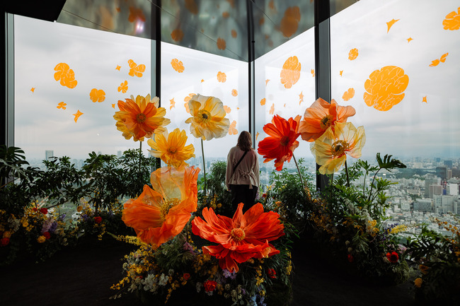 415199808_10218694169424292_436182214119642024_n