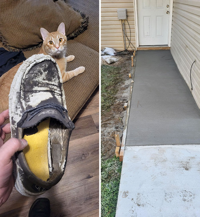 infuriating-terrible-landlords-2-66ea84de5e41a__700