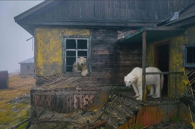 beautiful-abandoned-world-pictures