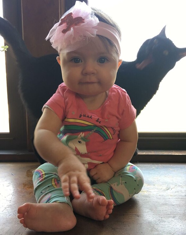 68a47025ec744_funny-pets-photobombs__700