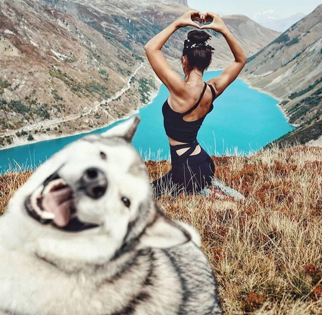 68a480ba5303e_funny-pets-photobombs__700