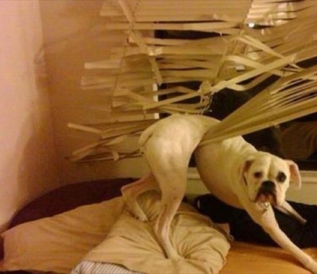 1487776927603