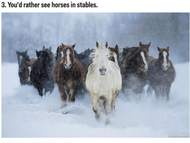 日本旅行をすべきではない理由