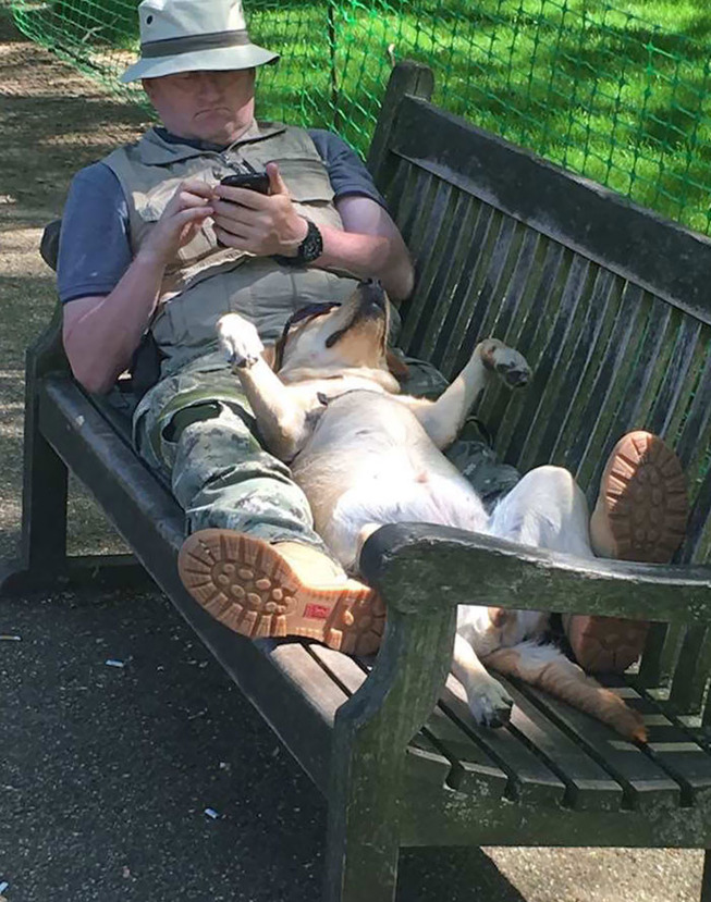 funny-dog-sleeping-positions-18-5d5f8f7869da7__700