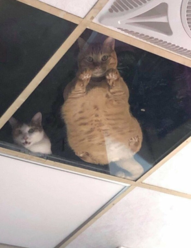 16-61a098f3d803d__700