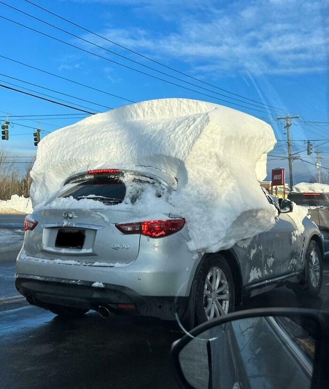 677cccbb13cf2_idiots-in-cars