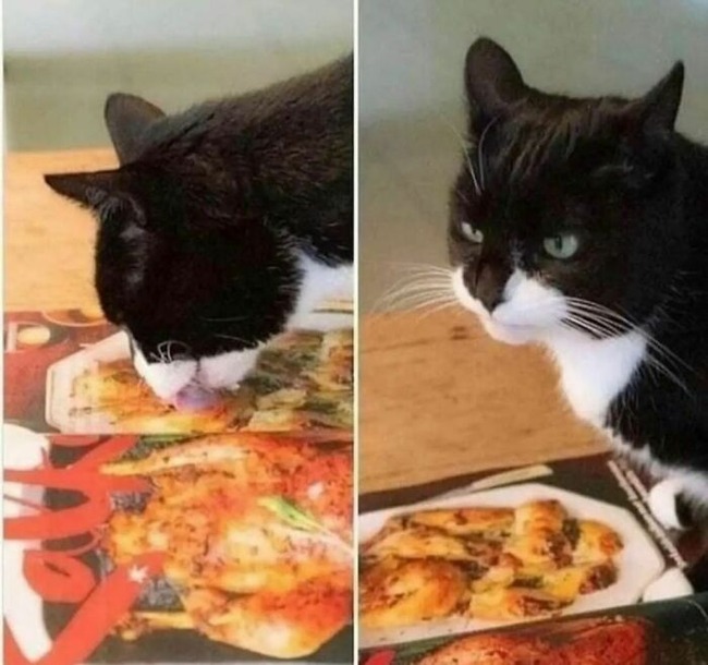 CktHHybDse7-png__700