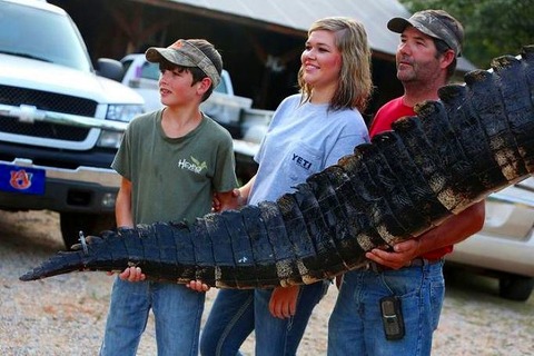 a2014-8-19gator31