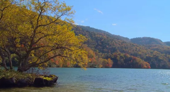 紅葉　秋　海外の反応　日本