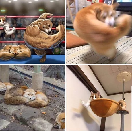 77270472_2750830461606341_1708859472945872896_n