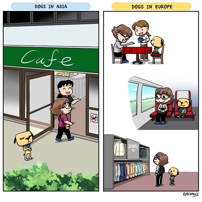 This-Artist-Turns-Everyday-Cultu (8)