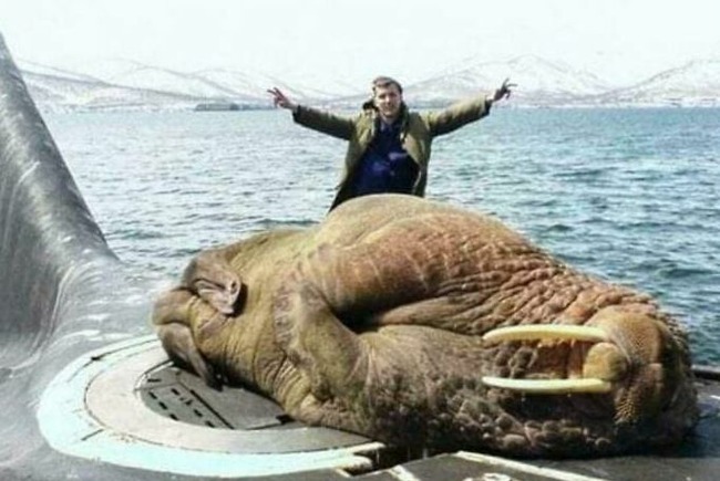 bigbigbig