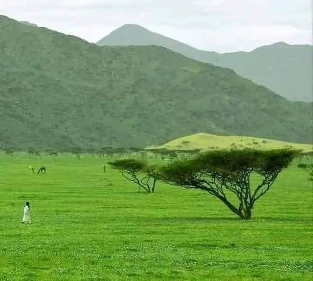 muaocqwstdug1