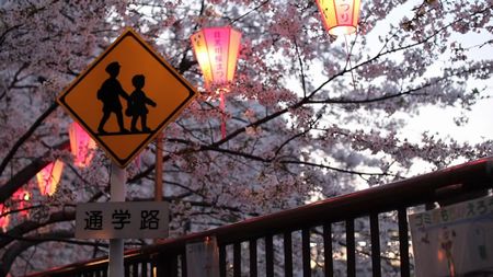452ab3fe-b638-4208-842b-8bf6f6d1d3d4
