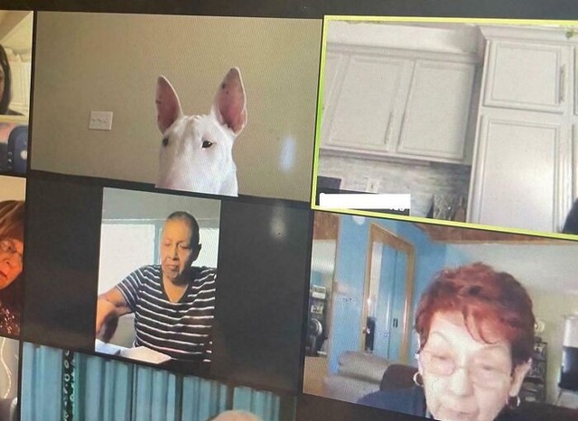 68371325add47_work-from-home-moments