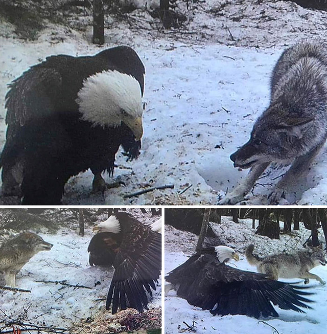 comparison-pics-4-68a7559981b7c__700