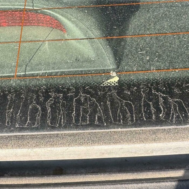6785206bc9438_pareidolia-pictures