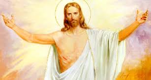 ダウンロード (2)