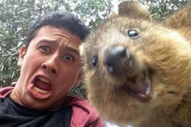 d1c063d83306e0e02a3c578ee205ac1137c59ef03ccf76120b7c14392d6b7a58