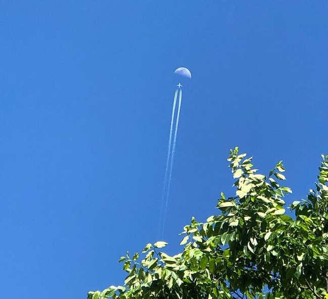 65ae8dbe086af_things-look-like-something-else