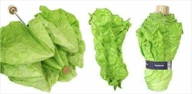 68dfc5cfa0741_ridiculous-useless