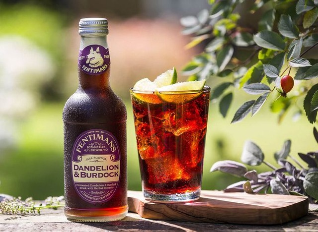 fentimans_dandelion-burdock
