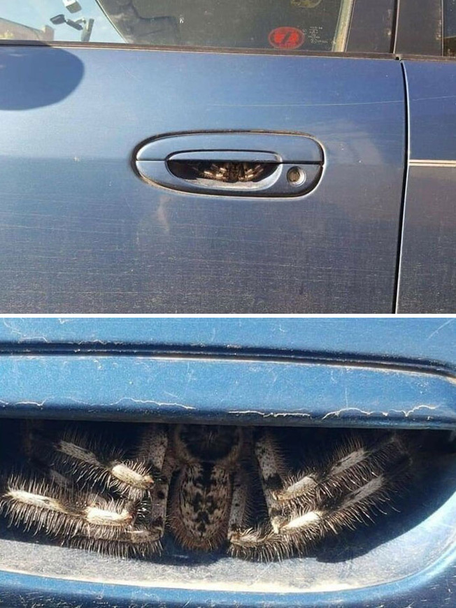 funny-accidents-bad-day-fails-25-61f2bb1bc8f6f__700