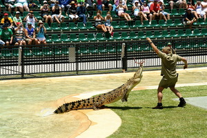 Steve_irwin_at_Australia_zoo