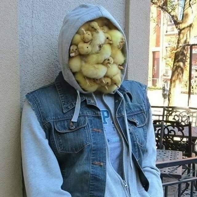 1505326068317