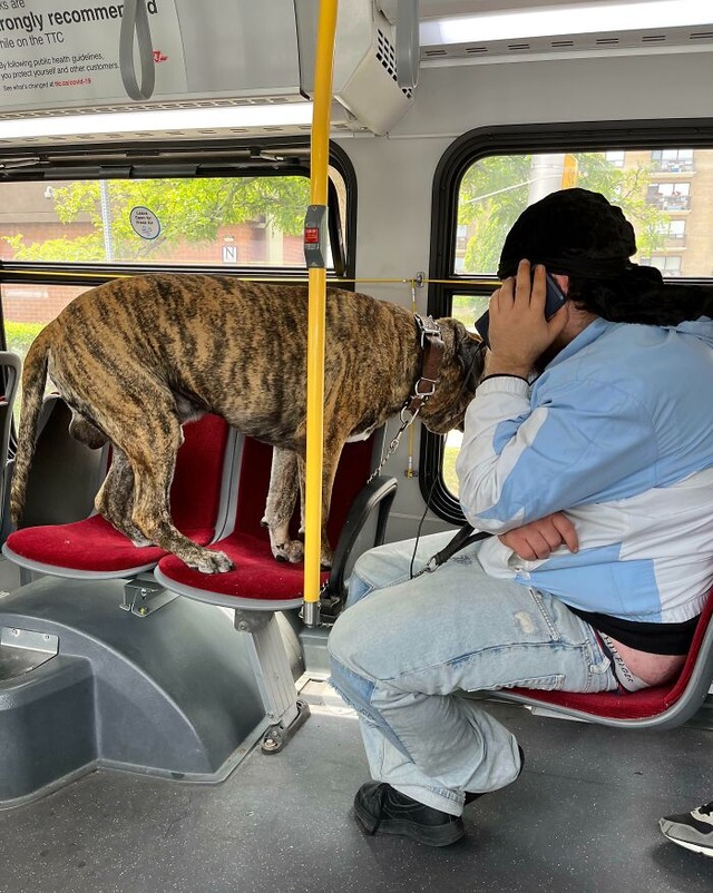 684bcebf9bc60_annoying-public-transport-passengers