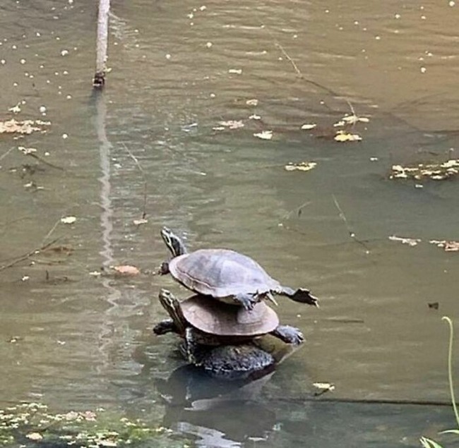 21-67287daf86047__700