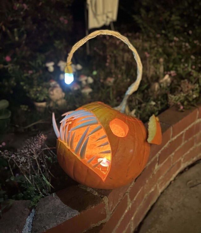 6509a1c9eb117_creative-pumpkins-halloween