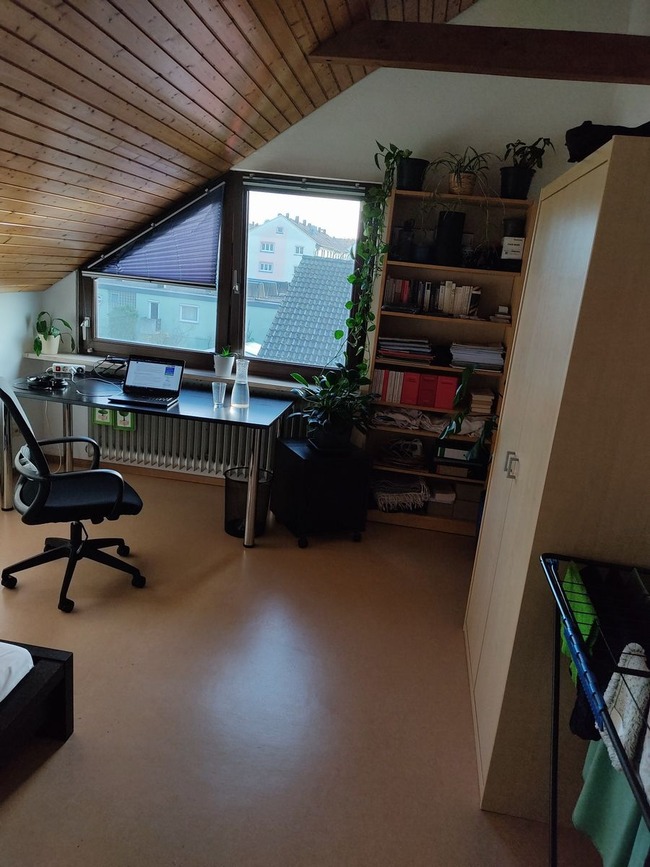 1669554446674523 (1)