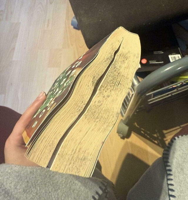 6847f55ce39e3_infuriating-borrowed-things-returns