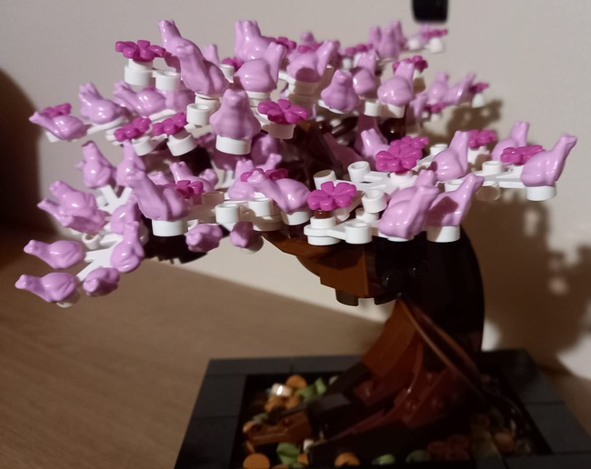 335453397_1157602361593991_6011680870216942639_n